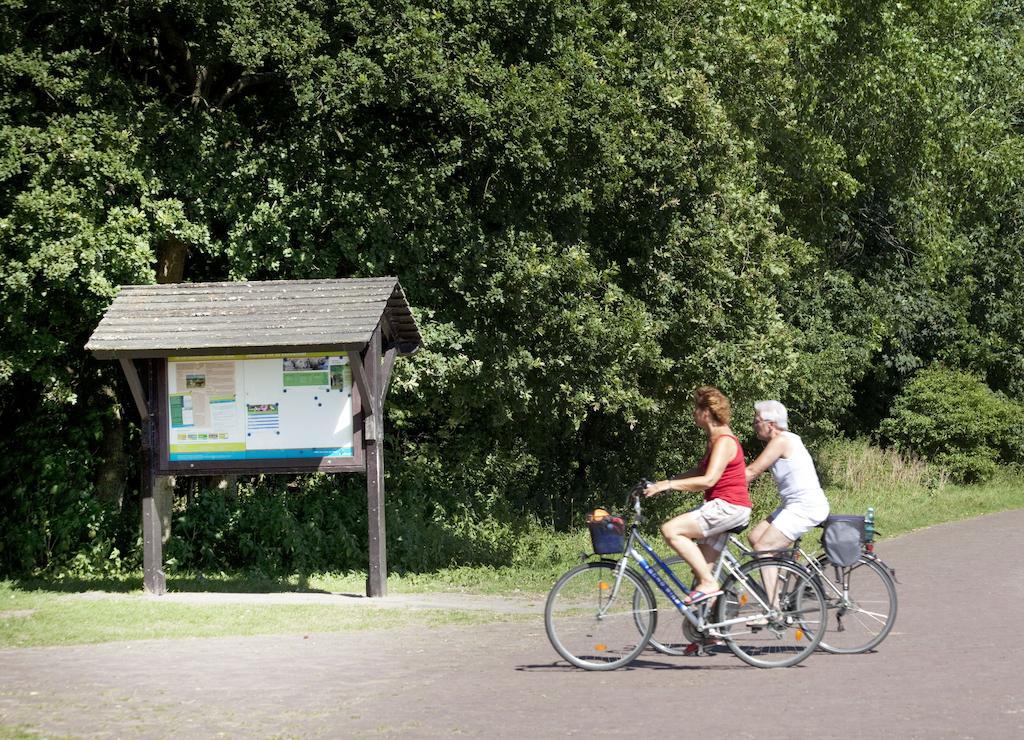 Bungalows - Bungalowpark Mooyeveld - Uniek Gelegen In De Duinen! Егмонт-Бинен Екстериор снимка