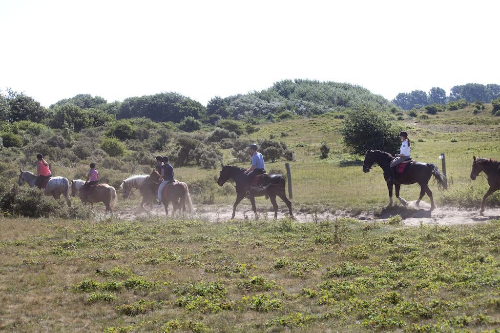 Bungalows - Bungalowpark Mooyeveld - Uniek Gelegen In De Duinen! Егмонт-Бинен Екстериор снимка