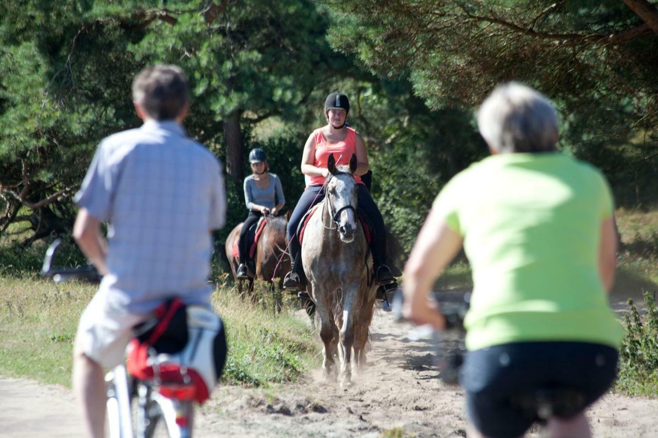 Bungalows - Bungalowpark Mooyeveld - Uniek Gelegen In De Duinen! Егмонт-Бинен Екстериор снимка
